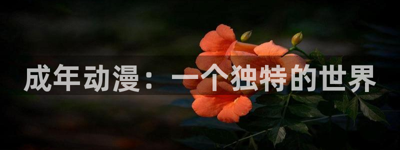 omofun动漫网官网