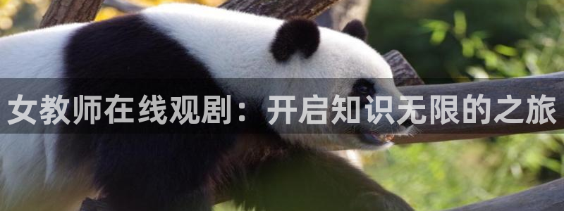 omofun动漫网官网：女教师在线观剧：开启知识无限的之旅